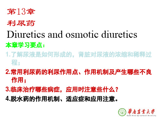 药理学第十三章利尿药
