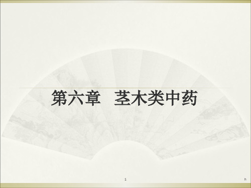 《茎木类中药》PPT课件