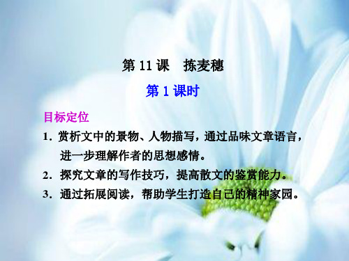 拣麦穗PPT教学课件