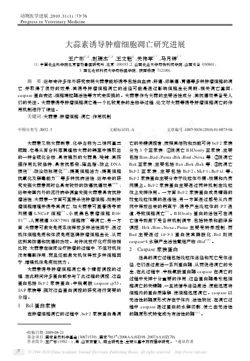 大蒜素诱导肿瘤细胞凋亡研究进展