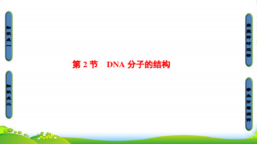 高中生物人教版必修二课件：第3章 第2节 DNA分子的结构