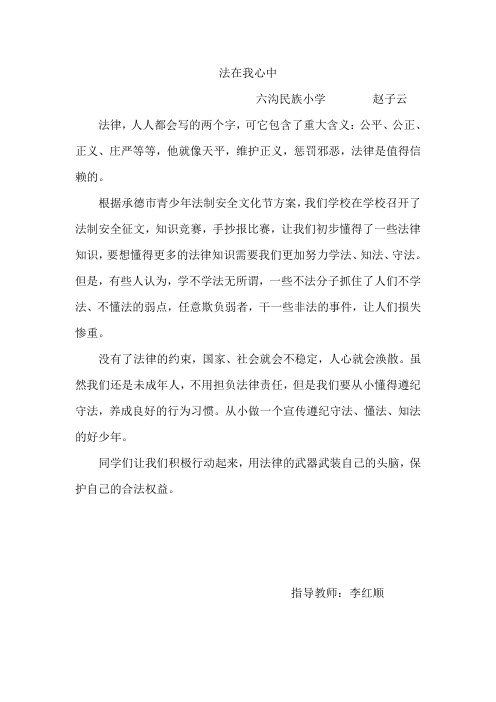 六沟民族小学法在我心中：赵子云