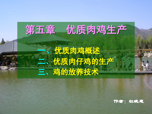 优质肉鸡生产技术