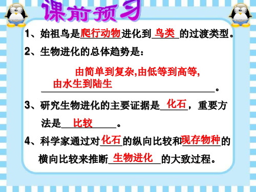 新人教版八年级下册生物生物生物进化的原因优质课完美版