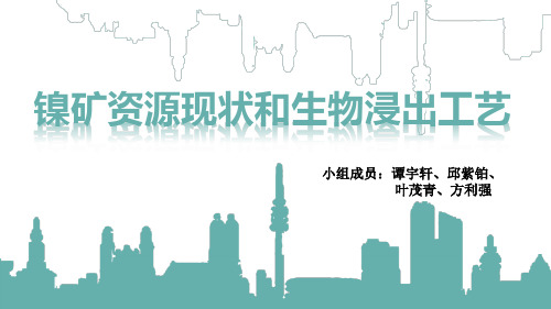 镍矿资源现状和生物浸出工艺