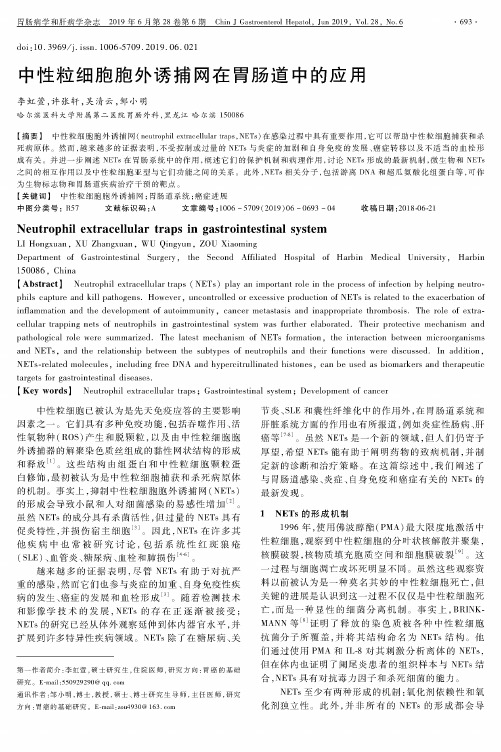 中性粒细胞胞外诱捕网在胃肠道中的应用