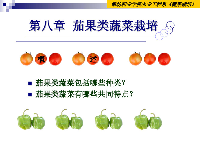 茄果类蔬菜栽培