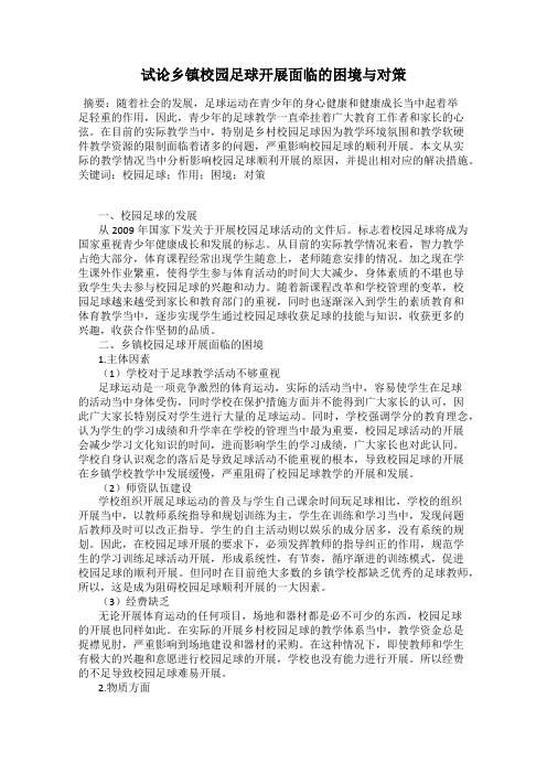 试论乡镇校园足球开展面临的困境与对策