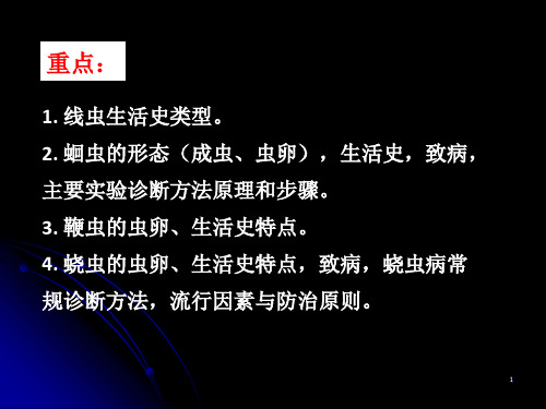 寄生虫：蛔虫鞭虫蛲虫