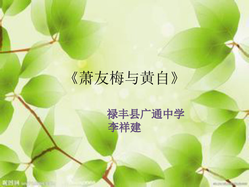 第二十七节：萧友梅与黄自 (2)