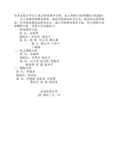双龙实验小学关于成立财务领导小组
