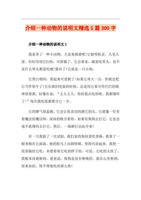 介绍一种动物的说明文精选5篇300字