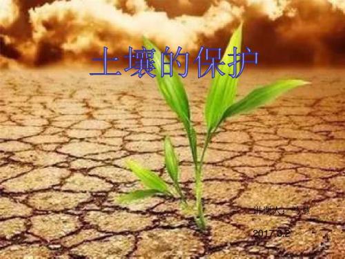 苏教版科学三年级下《保护土壤》