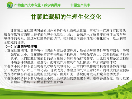 甘薯贮藏期的生理生化变化.