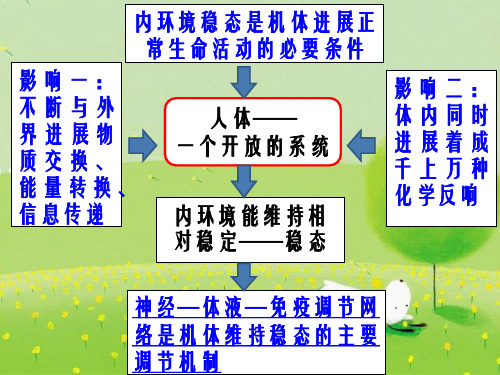 《神经调节》幻灯片PPT