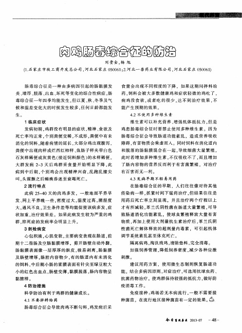 肉鸡肠毒综合征的防治