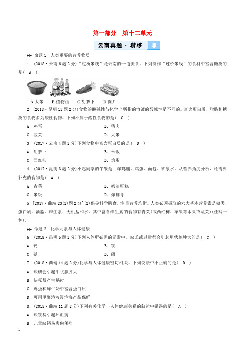 云南专用版2019版中考化学教材同步复习第12单元化学与生活真题精练含答案