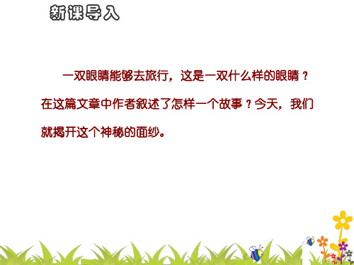 (部编人教)七年级下册语文课件第六单元 23《带上她的眼睛》(共48张PPT)