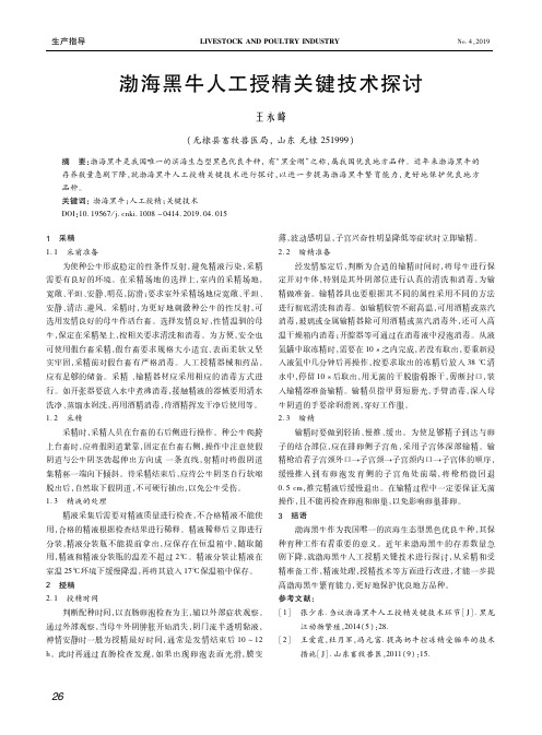 渤海黑牛人工授精关键技术探讨