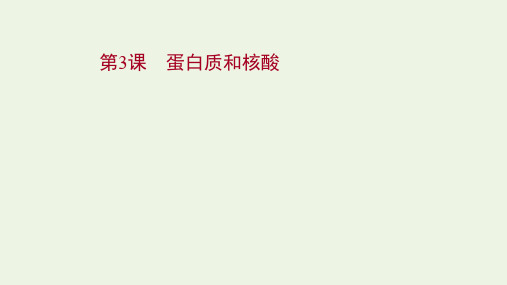高考生物一轮复习第一单元走近细胞及组成细胞的分子第3课蛋白质和核酸课件苏教版