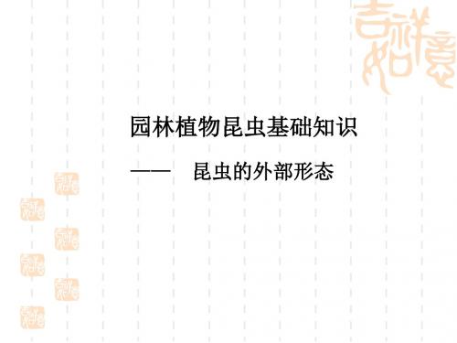 园林植物病虫害防治课件：园林植物昆虫基础知识-昆虫的外部形态05共14页文档