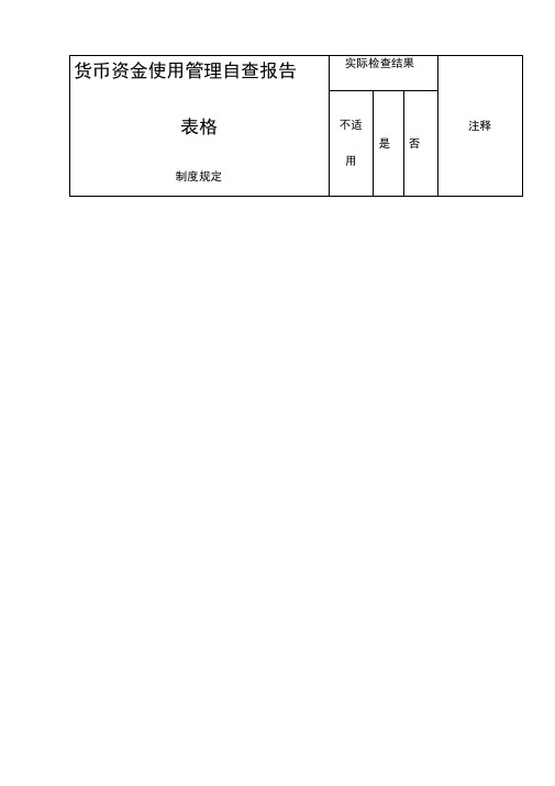 货币资金使用管理自查报告表格