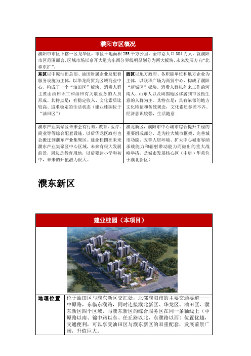 濮阳市房地产市场调查分析报告