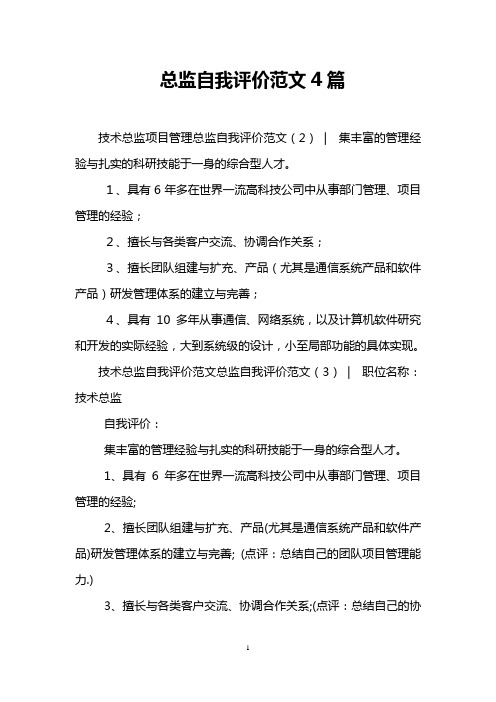 总监自我评价范文4篇
