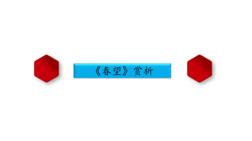 爱国主义古诗《春望》赏析