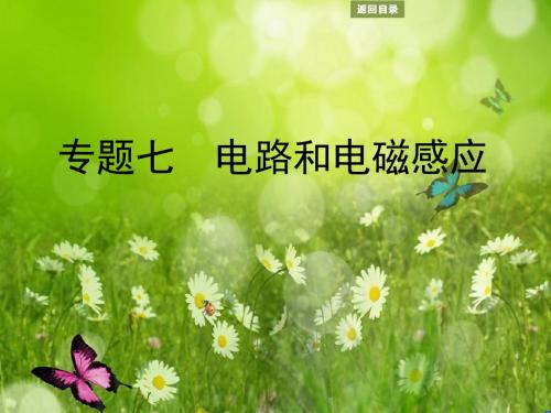 高三物理二轮专题复习课件：专题七 电路和电磁感应