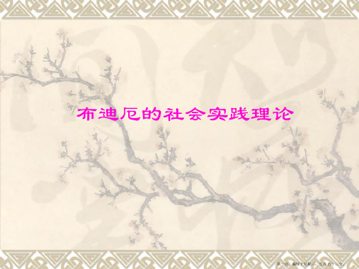 布迪厄的社会实践理论