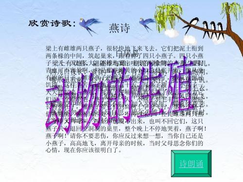 八年级生物上册《动物的生殖》课件1 苏科版