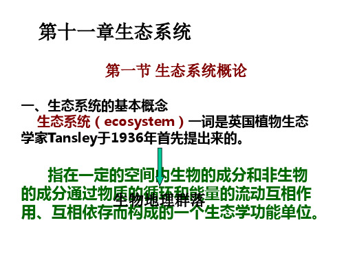 生态系统