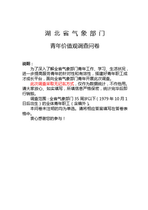 1-青年价值观调查问卷