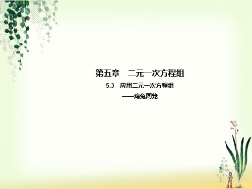 _八年级数学上册5.3应用二元一次方程组_鸡兔同笼教学课件新版北师大版