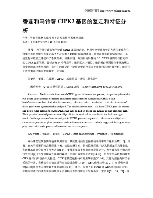 番茄和马铃薯CIPK3基因的鉴定和特征分析