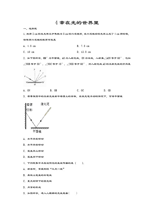 2020-2021学年度教科版八年级物理上册同步练习——4章在光的世界里