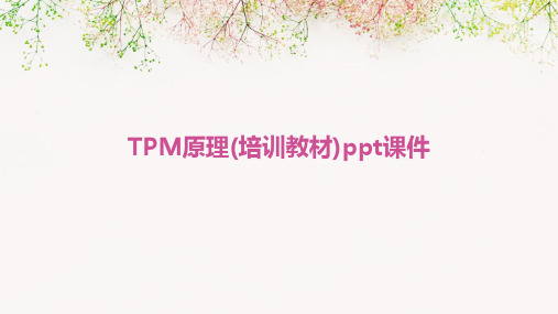 TPM原理(培训教材)ppt课件