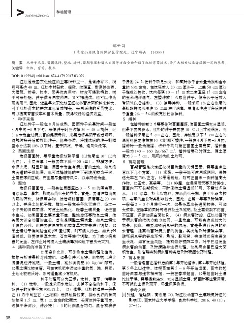 红松育苗技术