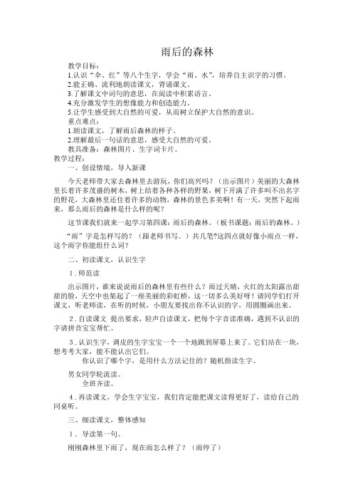 雨后的森林