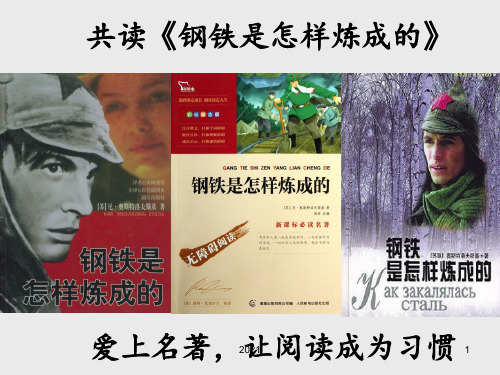 钢铁是怎样炼成的-优质课比赛一等奖PPT课件