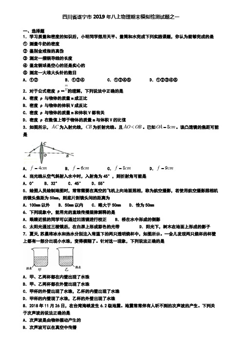 四川省遂宁市2019年八上物理期末模拟检测试题之一