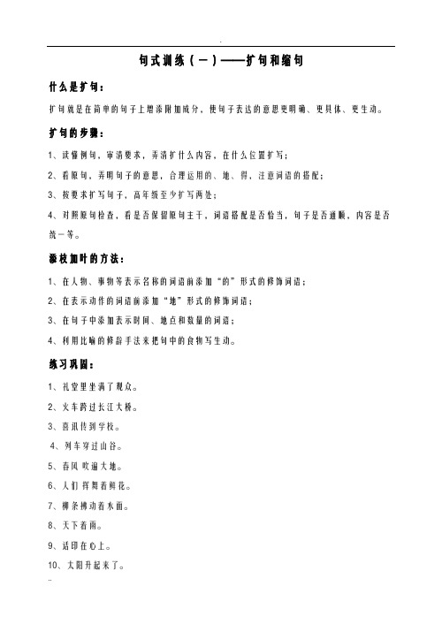 句式训练扩句缩句陈述句转反问句双重否定句,改转述句