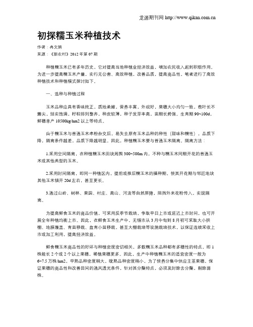 初探糯玉米种植技术