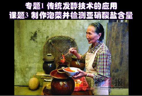 1.3制作泡菜并检测亚硝酸盐含量