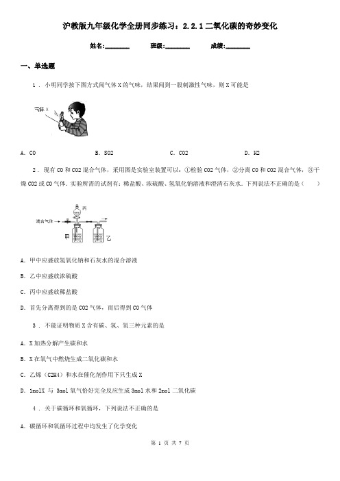 沪教版九年级化学全册同步练习：2.2.1二氧化碳的奇妙变化