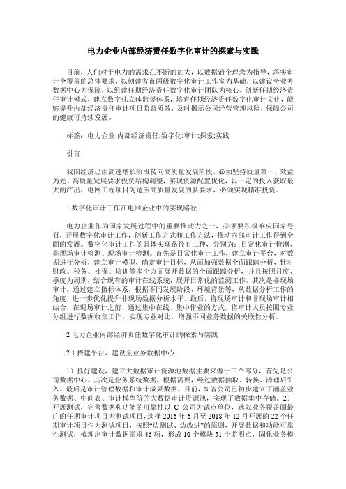 电力企业内部经济责任数字化审计的探索与实践