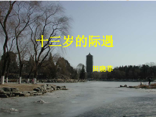 鲁教版语文六下第11课《十三岁的际遇》课件2
