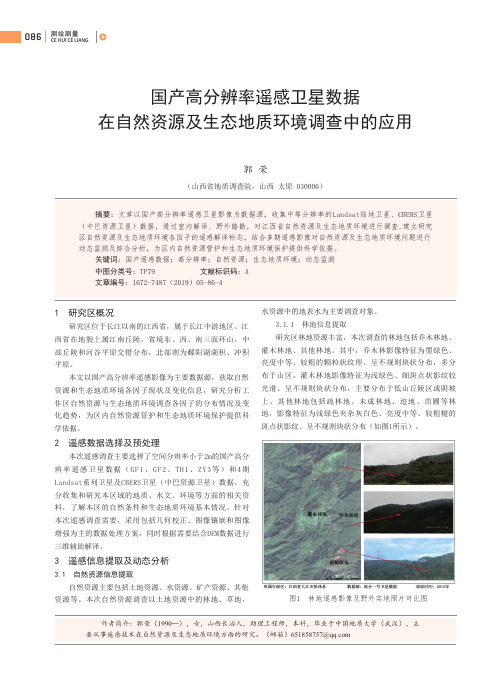 国产高分辨率遥感卫星数据在自然资源及生态地质环境调查中的应用