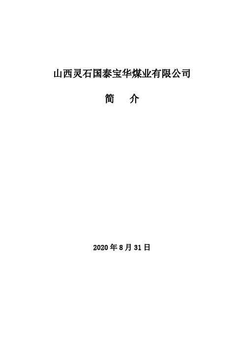 煤矿矿井简介(迎集团)